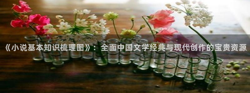海棠小说阅读网入口