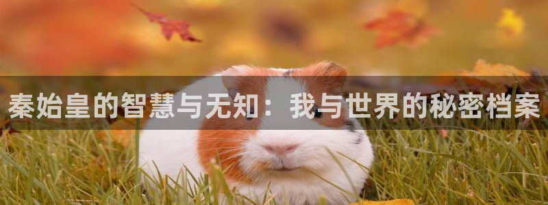 青涩启蒙张勇小说阅读全文