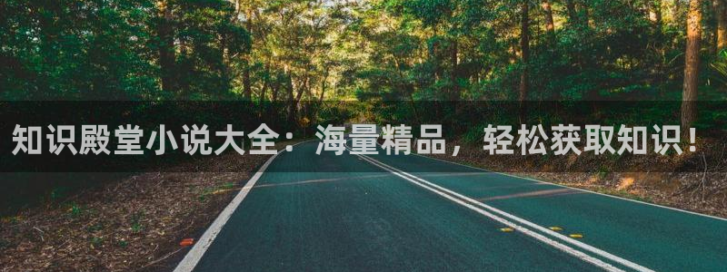 aa小说阅读
