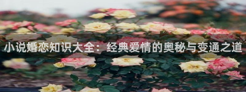 5200免费全本小说阅读网站